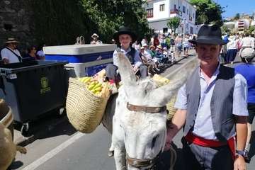 Romería ofrenda a la Virgen del Pino (Foto TA y Antonio Alí)